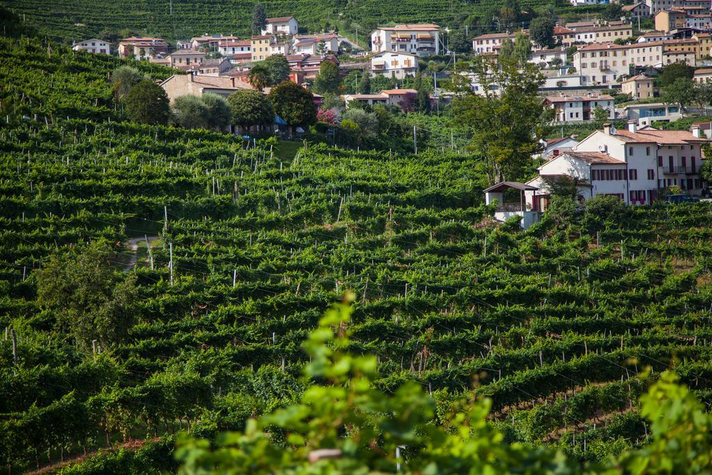 Agriturismo Due Carpini * Valdobbiadene