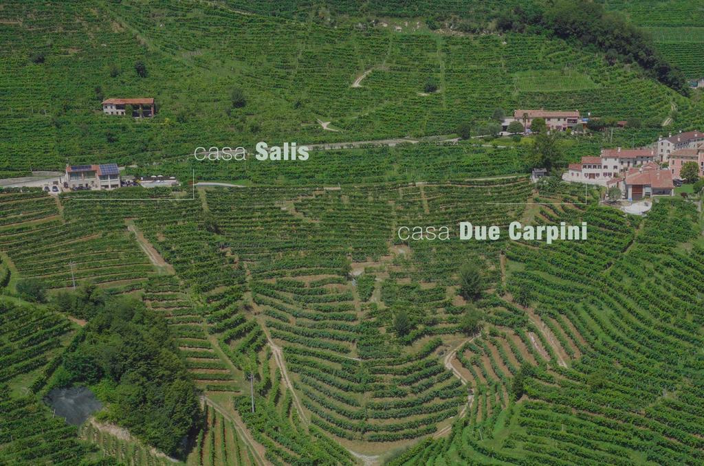 Due Carpini * Valdobbiadene